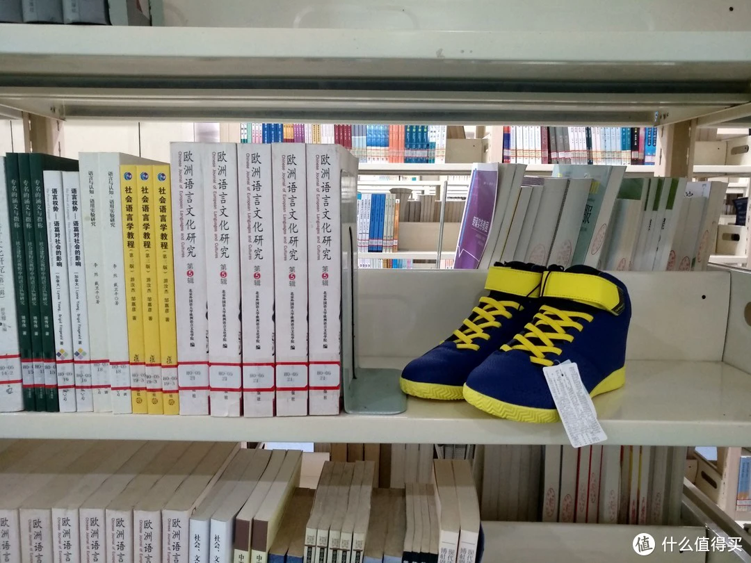 为什么可靠的篮球技术指导对初学者很重要?_1